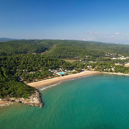 Crovatico Club Vacanze Vieste Dış mekan fotoğraf