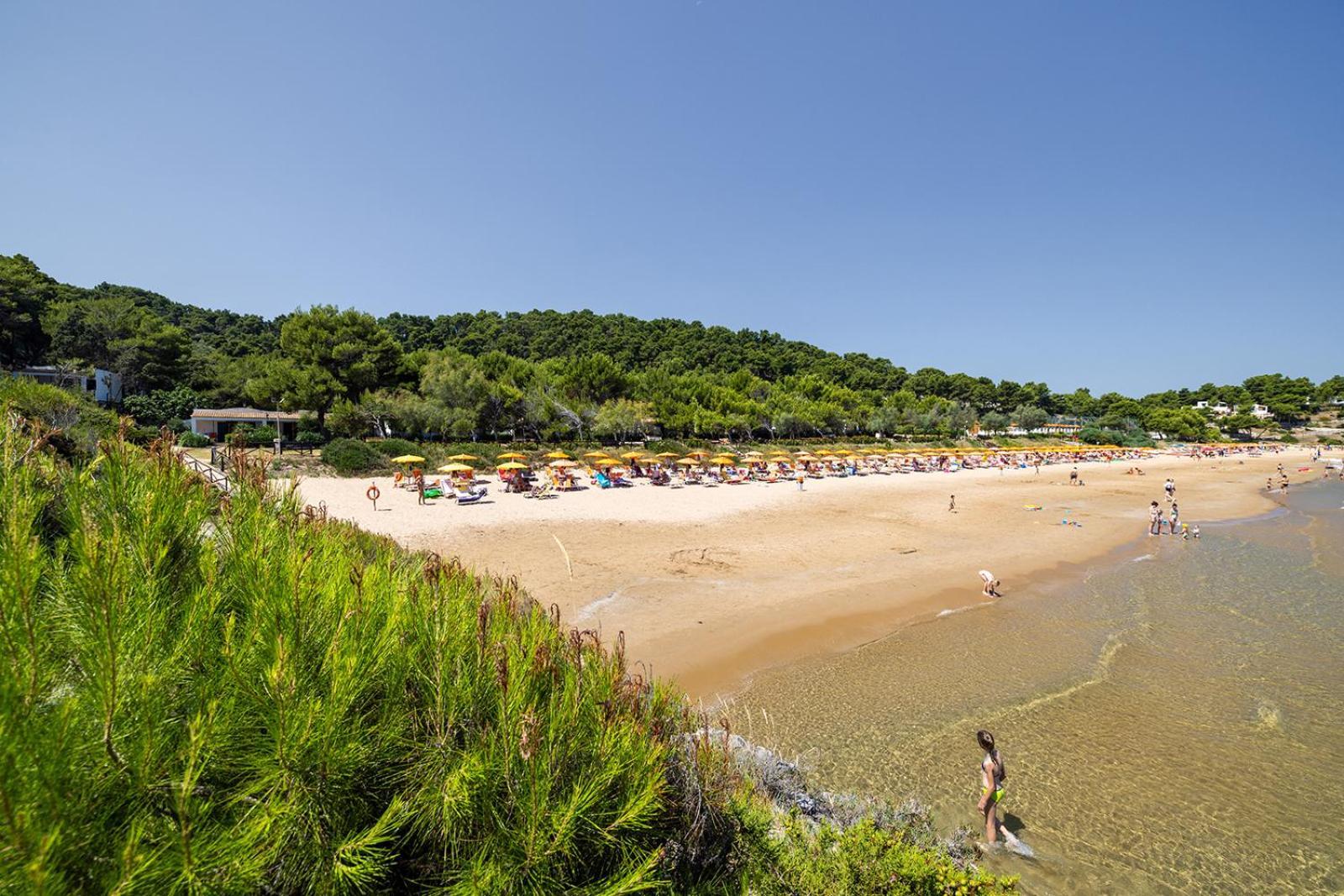 Crovatico Club Vacanze Vieste Dış mekan fotoğraf