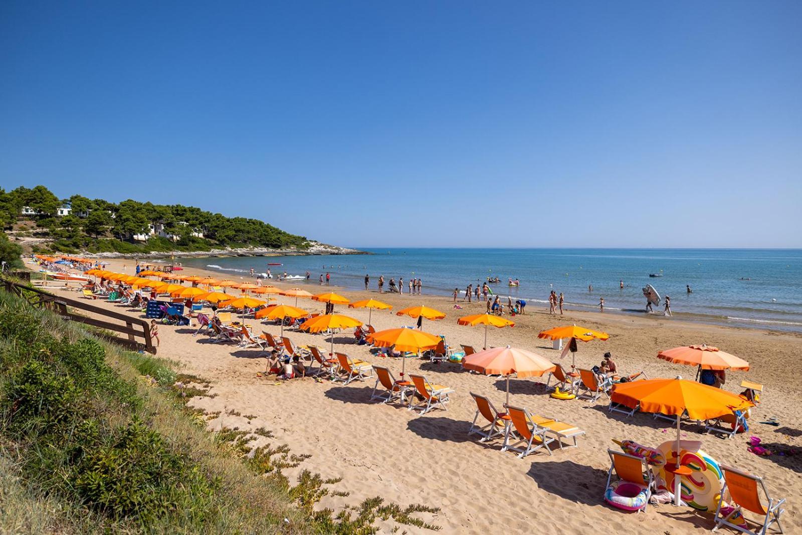 Crovatico Club Vacanze Vieste Dış mekan fotoğraf