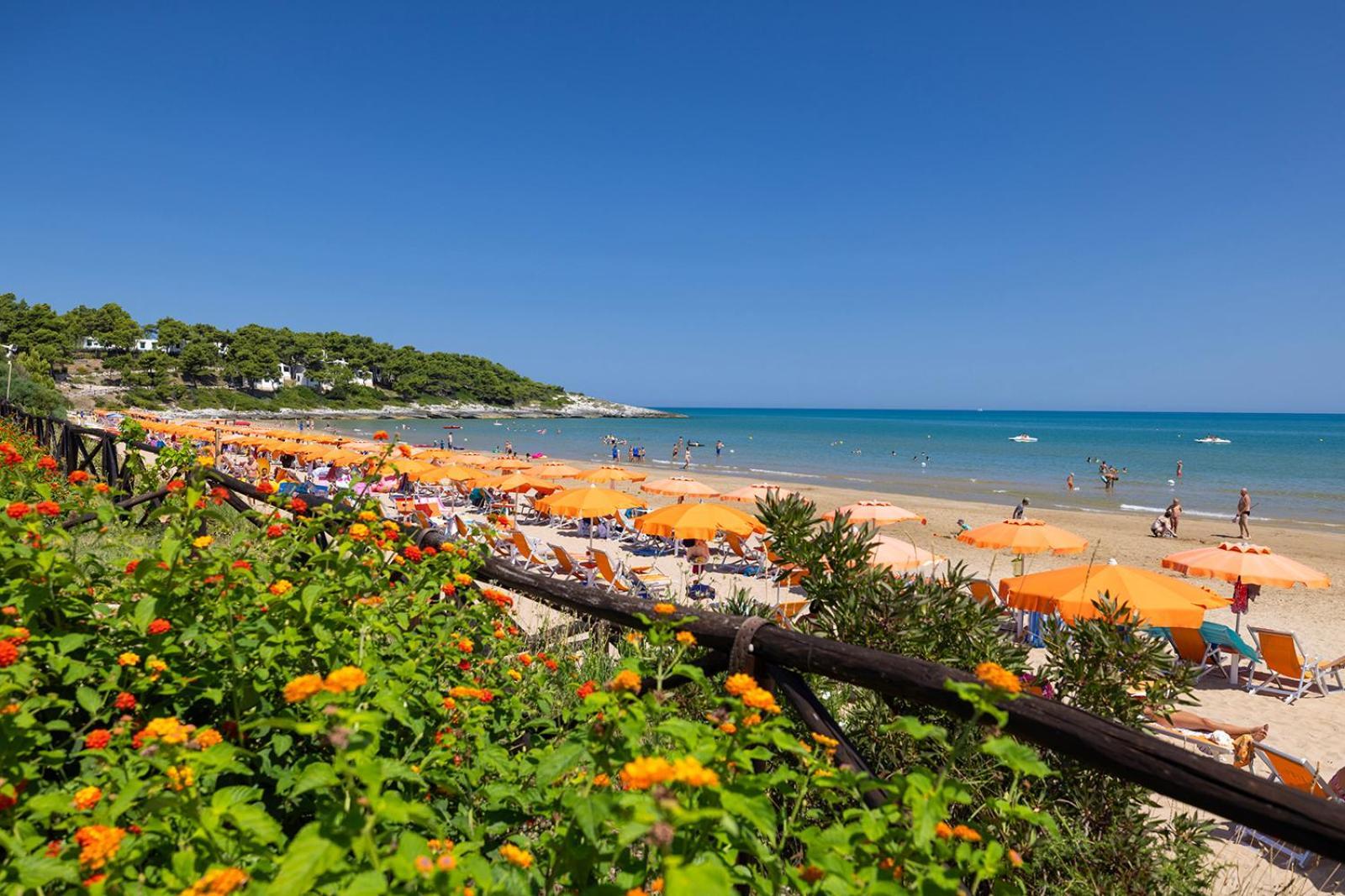Crovatico Club Vacanze Vieste Dış mekan fotoğraf