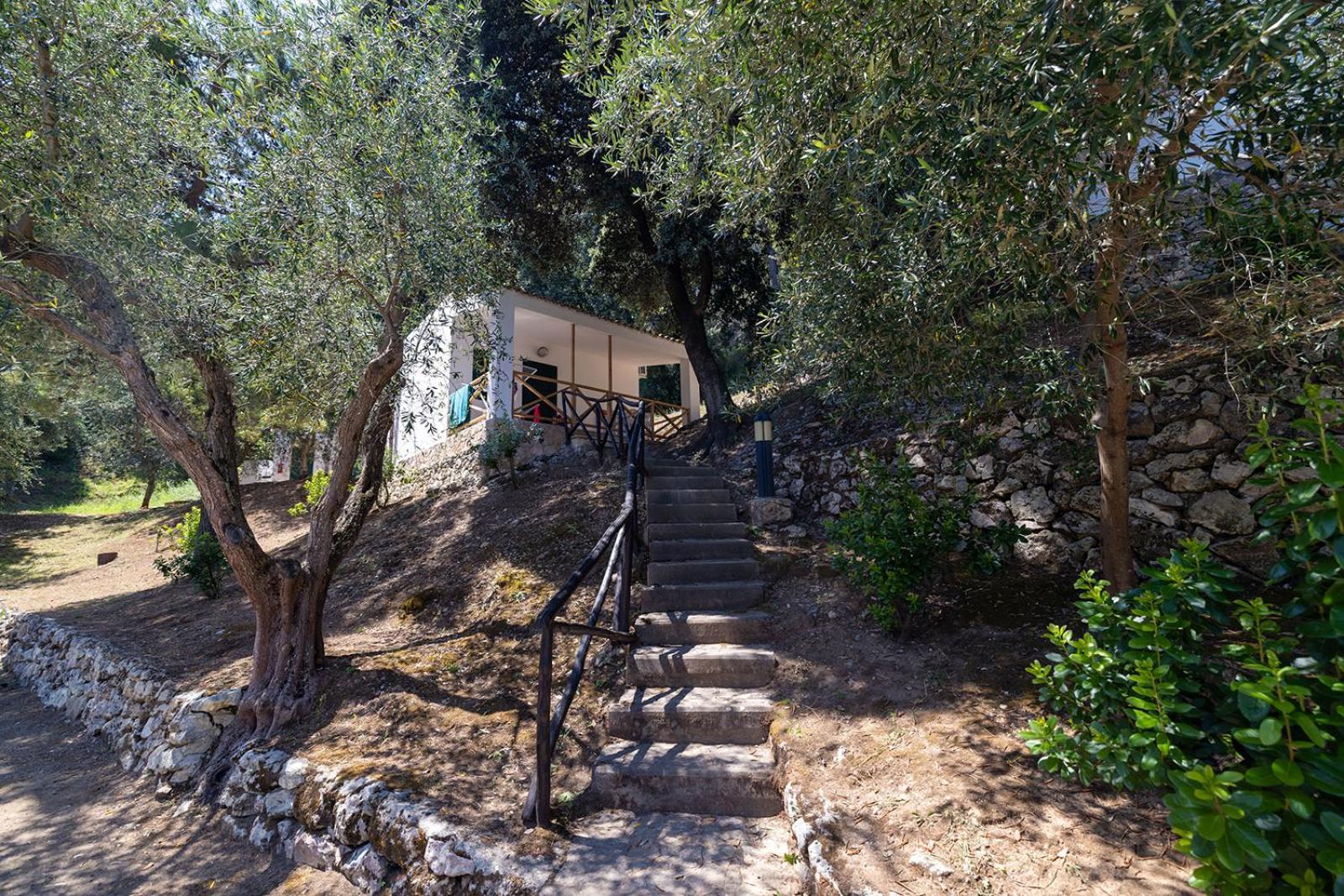Crovatico Club Vacanze Vieste Dış mekan fotoğraf