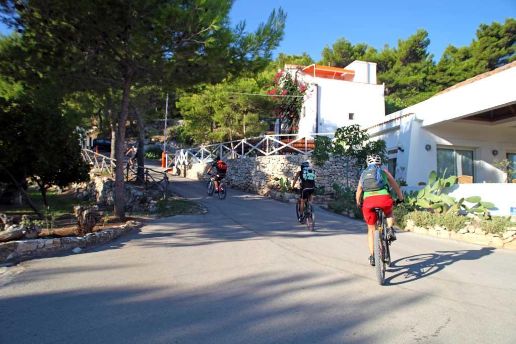 Crovatico Club Vacanze Vieste Dış mekan fotoğraf